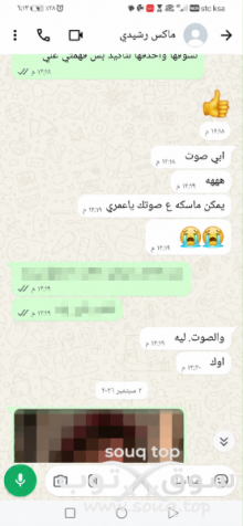 شات الرياض الخروف ماكس